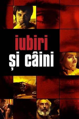Iubiri și câini - Amores Perros (2000)