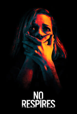 No respires - Don't Breathe (2016)