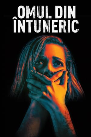 Omul din întuneric - Don't Breathe (2016)