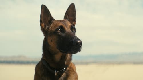 movies/2024-08-26/fallout-qLXHRb2131kGo2AeTgegLI1BU3g.jpg
