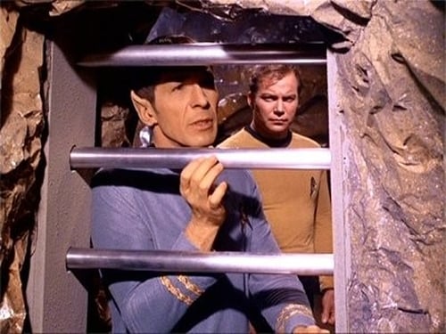 movies/2024-08-26/star-trek-2Vb8hzX1n3i5RgAkoeM3AoBC8oT.jpg