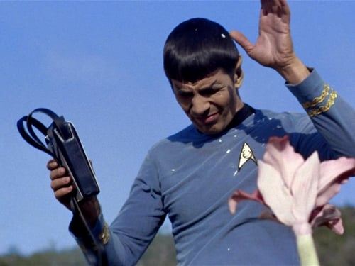 movies/2024-08-26/star-trek-dHY3lAap0OjYDjY94xjsQUrXvQZ.jpg