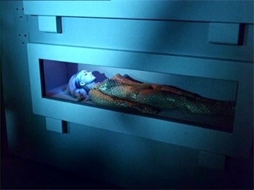 movies/2024-08-26/star-trek-xAzP8H5CxnF2RPDYIJQPKyoD6Q4.jpg