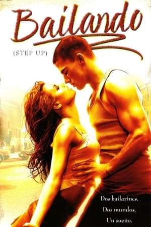 Bailando (Step Up) - Step Up (2006)