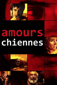 Amours chiennes - Amores Perros (2000)