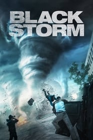 Dans la tempête - Into the Storm (2014)