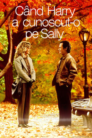 Când Harry a cunoscut-o pe Sally - When Harry Met Sally... (1989)