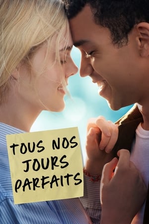 Tous nos jours parfaits - All the Bright Places (2020)