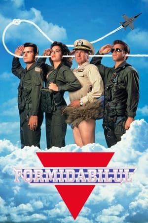 Formidabilul - Hot Shots! (1991)
