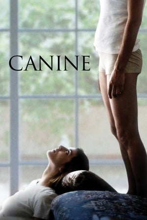 Canine - Dogtooth (2009)