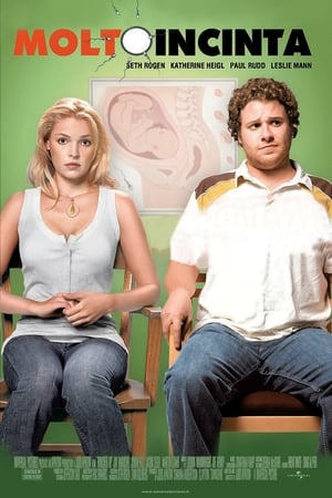 Molto incinta - Knocked Up (2007)