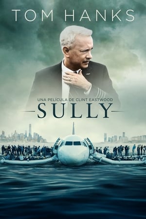 Sully: Hazaña en el Hudson - Sully (2016)