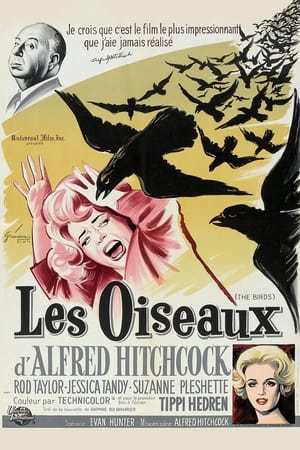 Les Oiseaux - The Birds (1963)