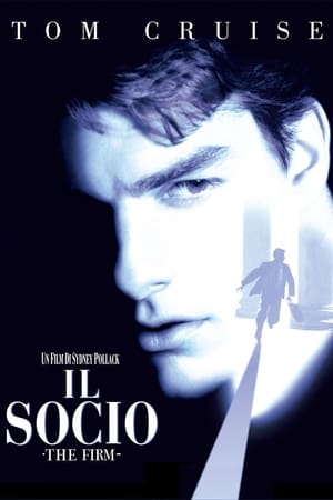 Il socio - The Firm (1993)