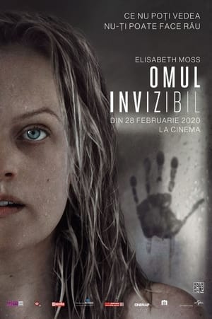 Omul invizibil - The Invisible Man (2020)