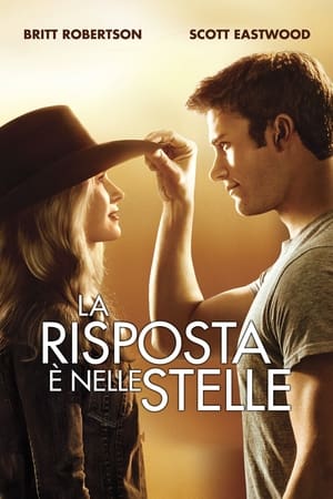 La risposta è nelle stelle - The Longest Ride (2015)