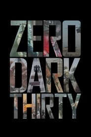 Opération avant l'aube - Zero Dark Thirty (2012)