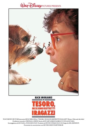 Tesoro, mi si sono ristretti i ragazzi - Honey, I Shrunk the Kids (1989)