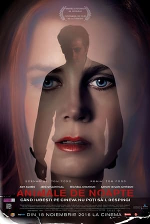 Animale de noapte - Nocturnal Animals (2016)