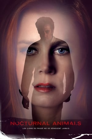 Animaux nocturnes - Nocturnal Animals (2016)