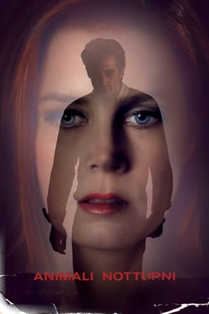 Animali notturni - Nocturnal Animals (2016)