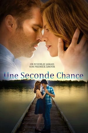 Une seconde chance - The Best of Me (2014)