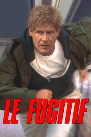 Le fugitif - The Fugitive (1993)