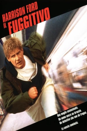 Il fuggitivo - The Fugitive (1993)