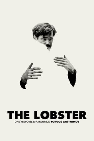 Le homard - The Lobster (2015)