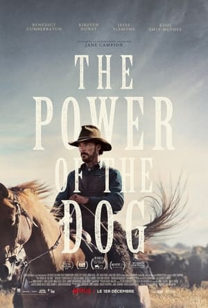 Le pouvoir du chien - The Power of the Dog (2021)