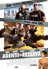 Agenții de rezervă - The Other Guys (2010)