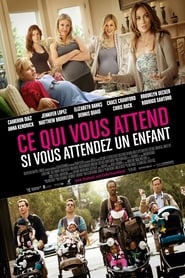 Comment prévoir l'imprévisible - What to Expect When You're Expecting (2012)
