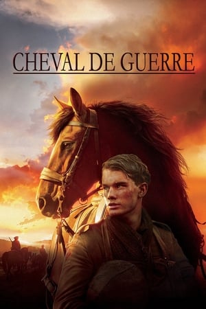 Cheval de guerre - War Horse (2011)