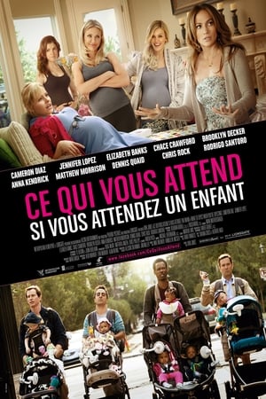 Comment prévoir l'imprévisible - What to Expect When You're Expecting (2012)