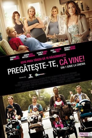 Pregătește-te, că vine - What to Expect When You're Expecting (2012)
