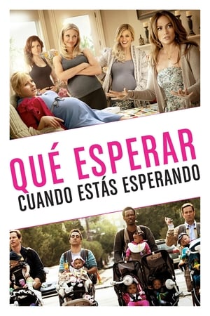 Qué esperar cuando se está esperando - What to Expect When You're Expecting (2012)