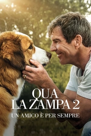 Qua la zampa 2 - Un amico è per sempre - A Dog's Journey (2019)