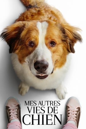 Mes voyages de chien - A Dog's Journey (2019)