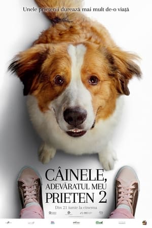 Câinele, adevăratul meu prieten 2 - A Dog's Journey (2019)