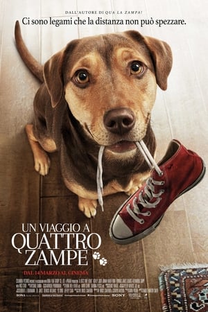Un viaggio a quattro zampe - A Dog's Way Home (2019)
