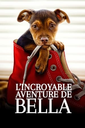 L'incroyable aventure de Bella - A Dog's Way Home (2019)