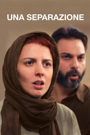 Una separazione - A Separation (2011)
