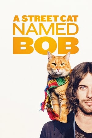 Un motan maidanez numit Bob - A Street Cat Named Bob (2016)