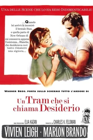 Un tram che si chiama desiderio - A Streetcar Named Desire (1951)