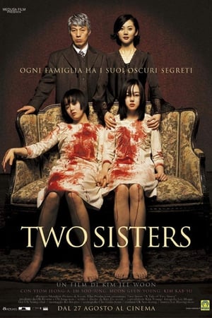 Two Sisters - A Tale of Two Sisters (2003)