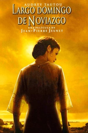 Amor eterno - A Very Long Engagement (2004)