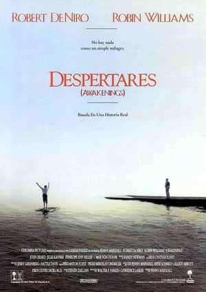 Despertares - Awakenings (1990)