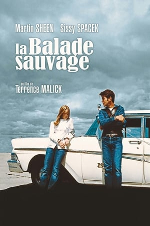 La Balade sauvage - Badlands (1974)