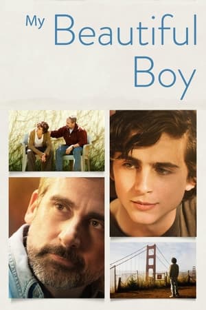 Un garçon magnifique - Beautiful Boy (2018)