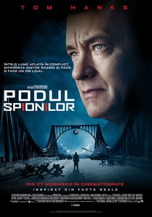 Podul spionilor - Bridge of Spies (2015)